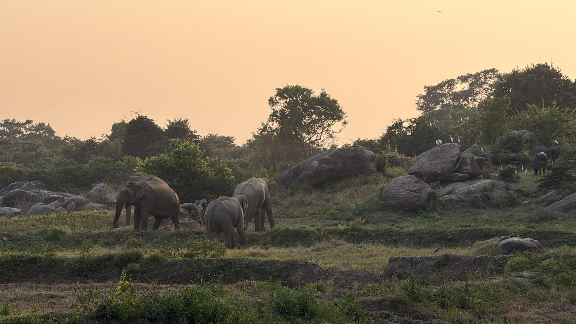 Sri Lanka tour moment 16