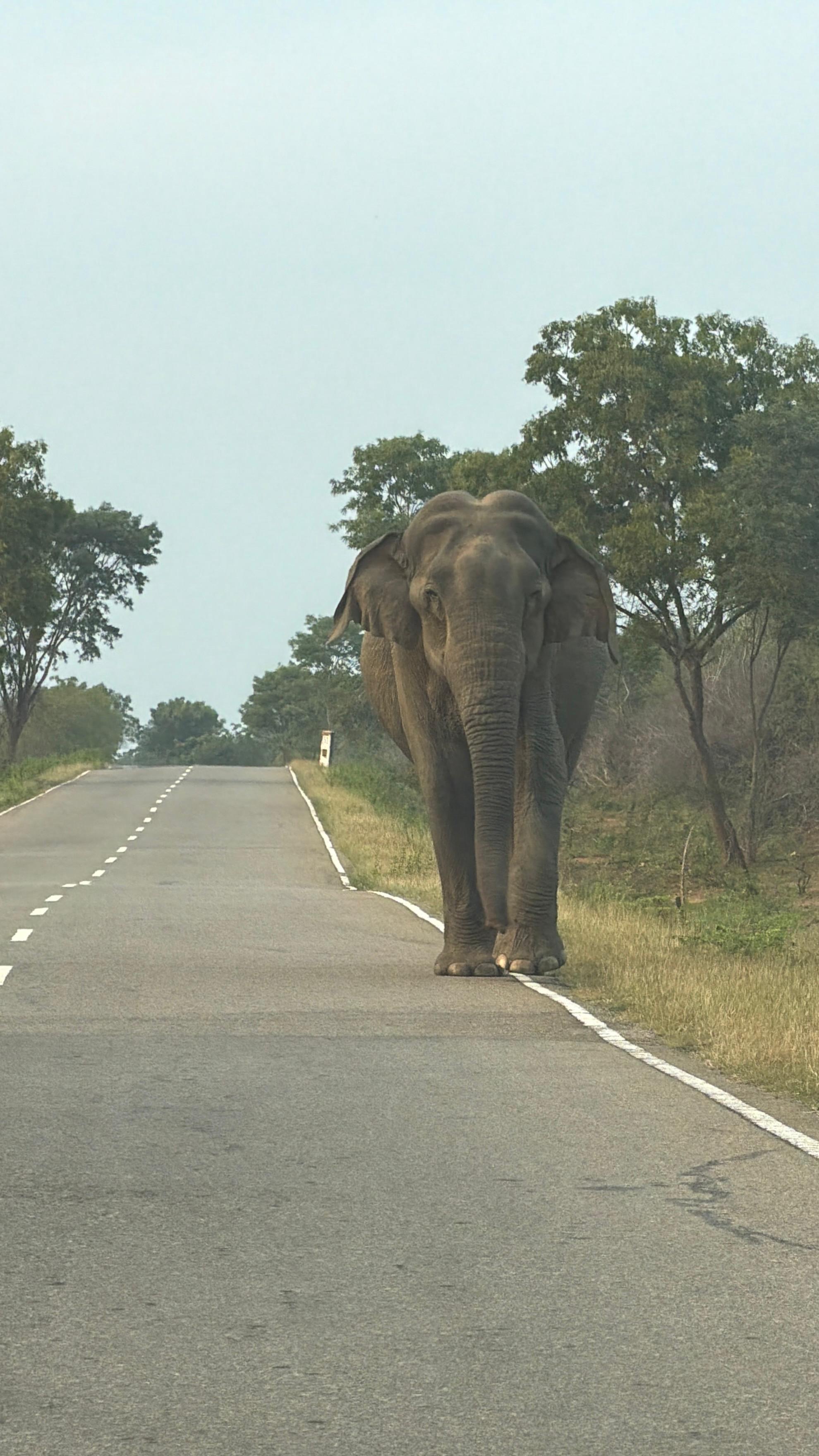 Sri Lanka tour moment 18
