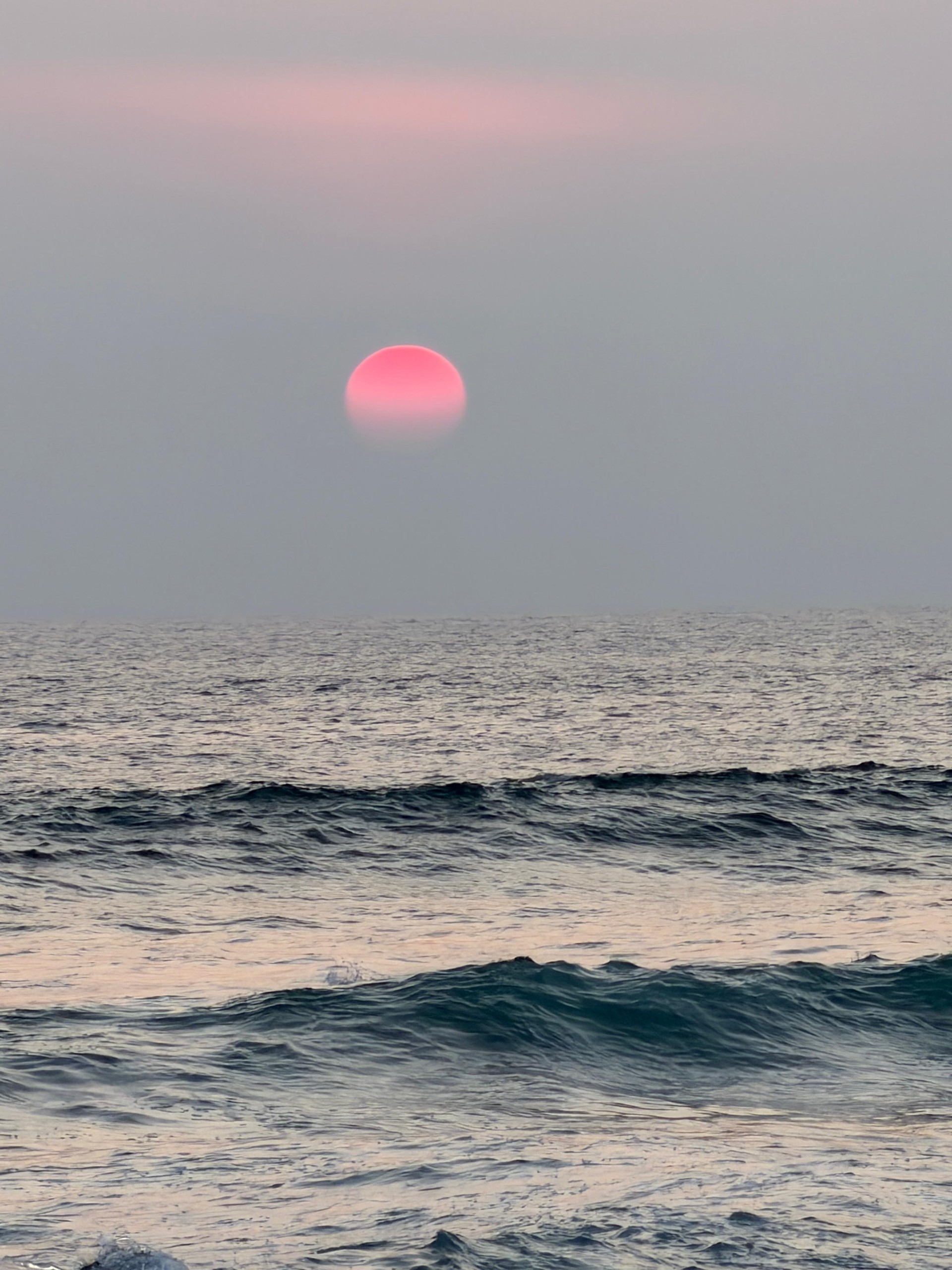 Sri Lanka tour moment 20