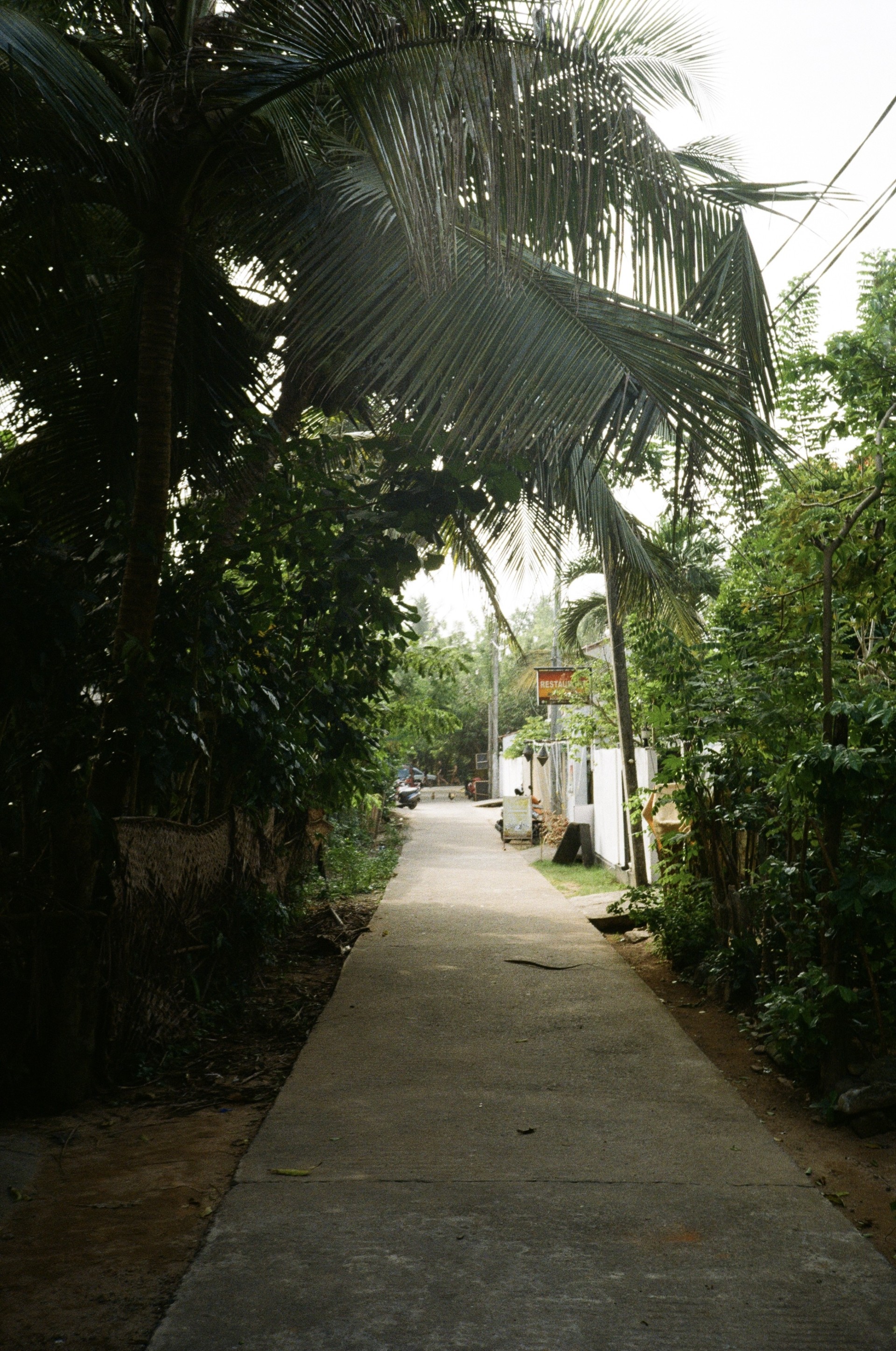 Sri Lanka tour moment 5